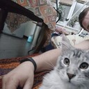  ,   , 32 ,   ,   