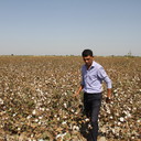 ���������� �������, ���� ������� Komiljon, 40 ���, ������������ ��� ������, ����� � ���������, c�������� ���������