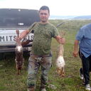  ,   Bachi, 40 ,   ,   , c 