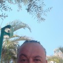 ���������� Aldie, ���� ������� Erni ����, 47 ���, ������������ ��� ������, ����� � ���������, c�������� ���������