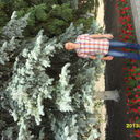 ,   Oleg, 43 ,   