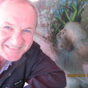 ���������� �����, ���� ������� Pachkeva, 46 ���, ������������ ��� ������, ����� � ���������, c�������� ���������