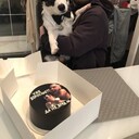 ���������� �����, ���� ������� ����, 29 ���, ������������ ��� ����� � ���������