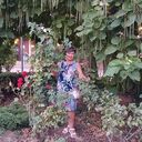 ���������� �����, ���� ������� �������, 61 ���, ������������ ��� c�������� ���������