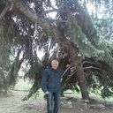  ,   , 61 ,  