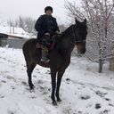 ���������� ������, ���� ������� �����, 33 ����, ������������ ��� ������, ����� � ���������