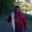  Pleven,   Ivailo, 45 ,   ,   , c 