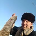  ,   Atanazar, 49 ,   ,   , c , 