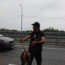 ���������� �������, ���� ������� ����, 35 ���, ������������ ��� ������, ����� � ���������