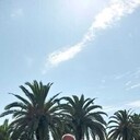 ���������� ����, ���� ������� ��������, 50 ���, ������������ ��� ������, ����� � ���������, c�������� ���������, ���������