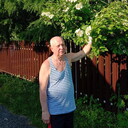 ���������� ������, ���� ������� ��������, 75 ���, ������������ ��� c�������� ���������, ���������