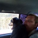 ���������� �������, ���� ������� �������, 43 ����, ������������ ��� ������, ����� � ���������, c�������� ���������