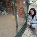 ���������� �������, ���� ������� ������, 36 ���, ������������ ��� ������, ����� � ���������, c�������� ���������