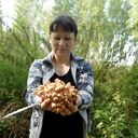 ���������� �����������, ���� ������� ����, 48 ���, ������������ ��� ������, ����� � ���������