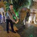 ���������� ������-��-����, ���� ������� �������, 38 ���, ������������ ��� ������, ����� � ���������, c�������� ���������