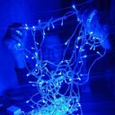 ���������� �����, ���� ������� �����, 31 ���, ������������ ��� ����� � ���������, c�������� ���������