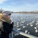 ���������� �����������, ���� ������� ����������, 50 ���, ������������ ��� c�������� ���������