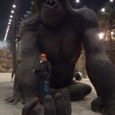 ���������� ������, ���� ������� ������, 46 ���, ������������ ��� ������, ����� � ���������, c�������� ���������