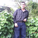  ,   , 44 ,  