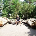 ���������� �������, ���� ������� �����, 31 ���, ������������ 