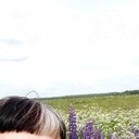  ,   Sofia, 56 ,   ,   , c 
