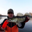 ���������� �����, ���� ������� ��������, 57 ���, ������������ ��� ����� � ���������