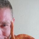 ���������� �����-���������, ���� ������� �����, 33 ����, ������������ ��� ������, ����� � ���������, c�������� ���������