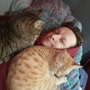  ,   , 27 ,   ,   , 