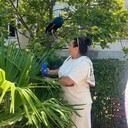 ���������� ����, ���� ������� ������, 57 ���, ������������ ��� ������, ����� � ���������, ���������