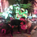 ���������� �����, ���� ������� �������, 36 ���, ������������ ��� ������