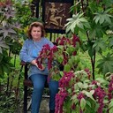 ���������� �����-���������, ���� ������� �����, 63 ����, ������������ ��� c�������� ���������