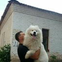 ���������� �����������, ���� ������� �����, 29 ���, ������������ ��� ������, ����� � ���������