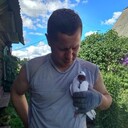 ���������� ������ ��������, ���� ������� ������ �����, 50 ���, ������������ ��� ������, ����� � ���������, c�������� ���������