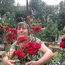 ���������� �������, ���� ������� ������, 53 ����, ������������ ��� c�������� ���������