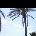 ���������� ������, ���� ������� ����, 33 ����, ������������ ��� ������, ����� � ���������, c�������� ���������