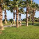 ���������� �����-���������, ���� ������� �������, 36 ���, ������������ ��� ������, ����� � ���������, c�������� ���������