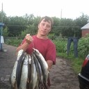 ���������� ����, ���� ������� ��������, 36 ���, ������������ ��� ����� � ���������, c�������� ���������