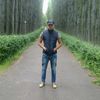  ,   Vipgold, 33 ,   