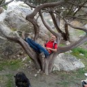 ���������� ������, ���� ������� �������, 52 ����, ������������ ��� ����� � ���������, c�������� ���������