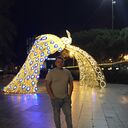 ���������� ���������, ���� ������� ������, 32 ����, ������������ ��� ������, ����� � ���������