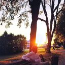 ���������� ��������, ���� ������� ������, 29 ���, ������������ ��� c�������� ���������