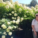  ,   , 61 ,   ,   