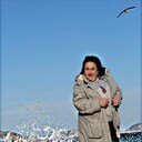 ���������� ���������, ���� ������� ����, 49 ���, ������������ ��� ������, ����� � ���������