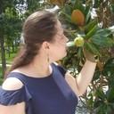 ���������� ���������, ���� ������� ����, 31 ���, ������������ ��� ������, ����� � ���������, c�������� ���������