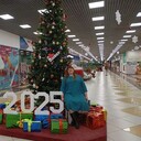  ,   , 33 ,   