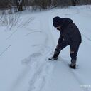 ���������� ������, ���� ������� ����, 86 ���, ������������ ��� ������, ����� � ���������