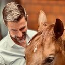 ���������� ����, ���� ������� ������, 37 ���, ������������ ��� ������, ����� � ���������, c�������� ���������