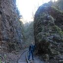 ���������� ���������, ���� ������� �������, 36 ���, ������������ ��� ������, ����� � ���������