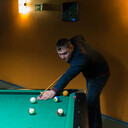  ,   , 39 ,   ,   , c , 