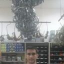 ���������� ������, ���� ������� ����, 37 ���, ������������ ��� ������, ����� � ���������, c�������� ���������